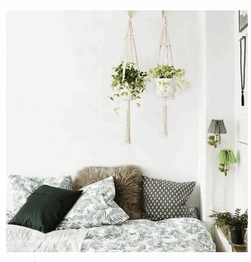 Exclusive 4 Pack - Macrame Plant Hangers & Shelf — 14style — Back View