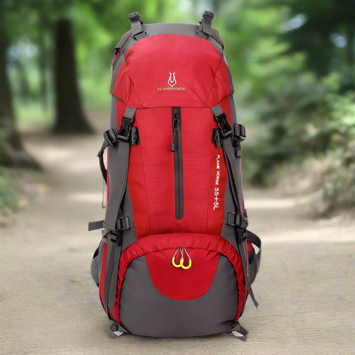 Exclusive 60L large capacity travel backpack — Blue — Front View