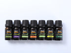 Exclusive Aromatherapy Essential Oil Set — 10ml 14 incense — Lifestyle View