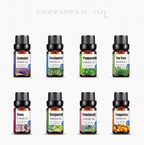 Exclusive Aromatherapy Kit Essential Oil Massage — 5ml — Size 12pcs — Back View