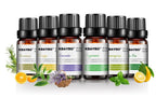 Exclusive Botanical Aromatherapy Essential Oil — 3 bottles — Detail View