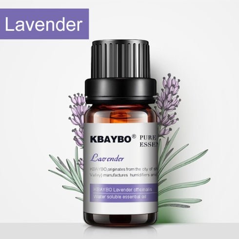 Exclusive Botanical Aromatherapy Essential Oil — 3 bottles — Alternate View 7