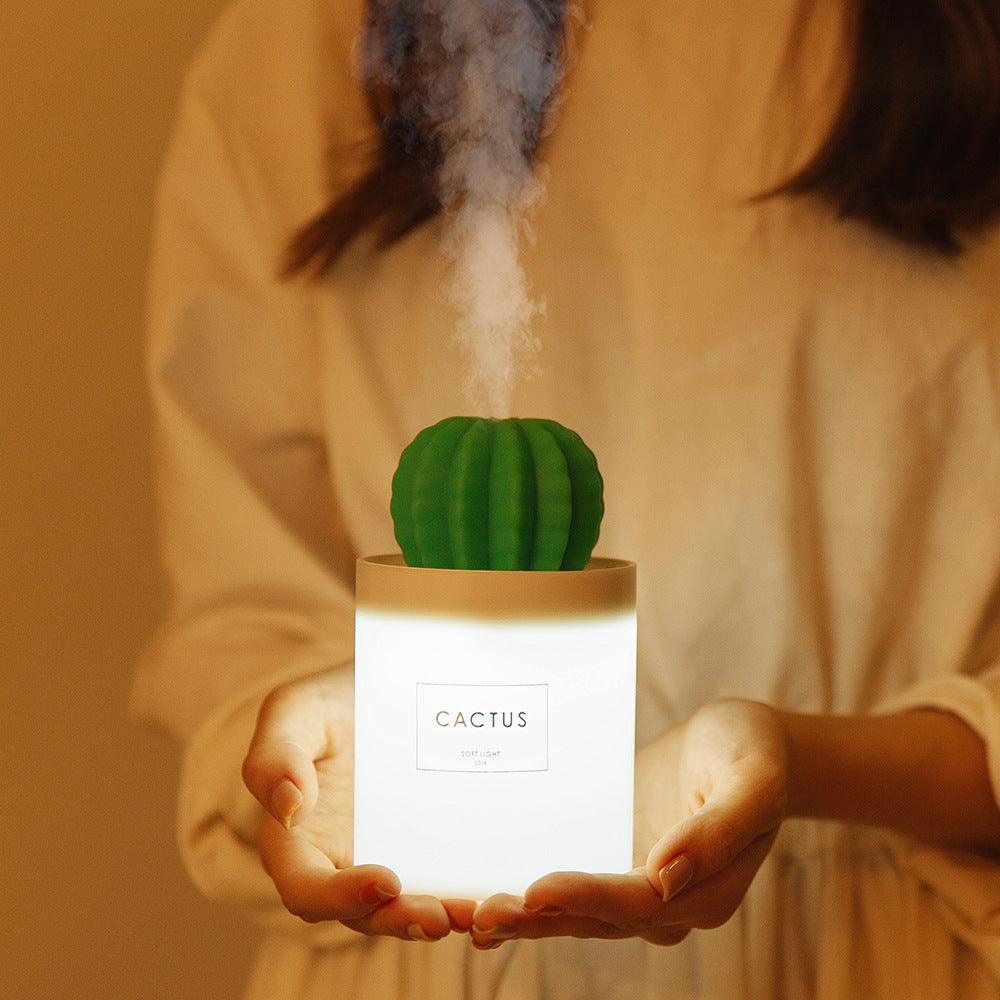 Exclusive Cactus Ultrasonic Aroma Essential Oil Diffuser — Grey — Size USB — Lifestyle View