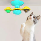 Exclusive Cat Rotating Windmill Multi-Function Toy — Black Balance car — Top View