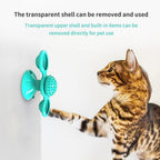 Exclusive Cat Rotating Windmill Multi-Function Toy — Black Balance car — Alternate View 31