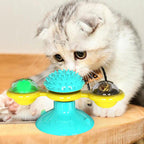 Exclusive Cat Rotating Windmill Multi-Function Toy — Black Balance car — Lifestyle View