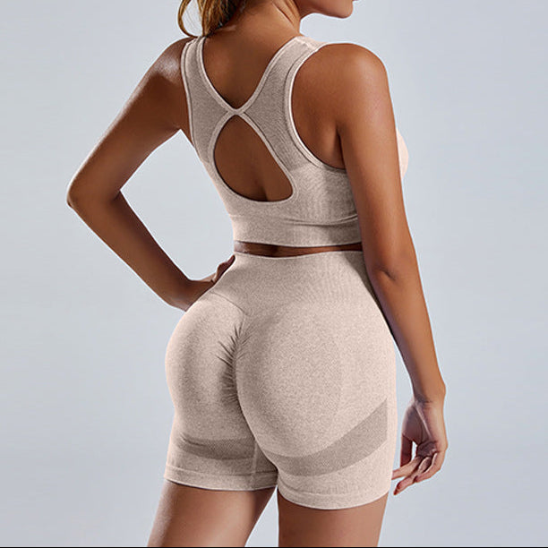 Exclusive Women's 2-Piece Seamless Sports Bra & Shorts Set ? Yoga Gym Workout Tracksuit ? Black ? Size Bra and Short ? Width S ? Back View