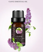 Exclusive Premium Essential Oils — 8 style — Top View