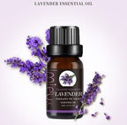 Exclusive Premium Essential Oils — 8 style — Detail View