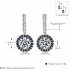 Exclusive Ladies S925 Sterling Silver Earrings — S925 — Back View