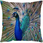Exclusive Printed Throw Pillow Cases For Home Decor Sofa Chair Seat — A Human — Size 45x45cm — Alternate View 10